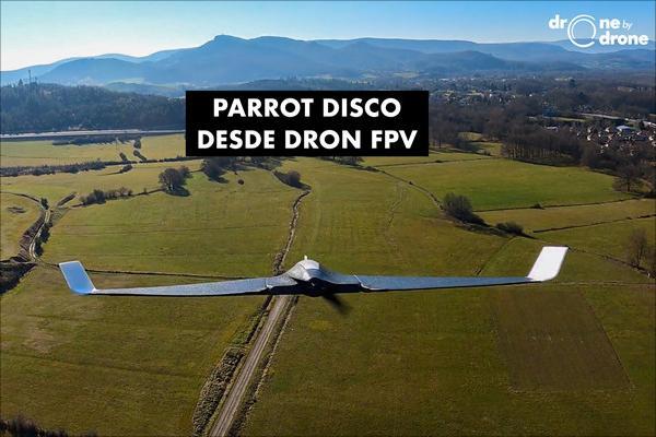 Parrot Disco